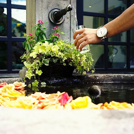 Landguet Ried - Center For Mindful Living Koniz