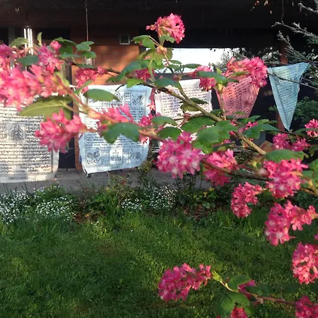 Gasthof Landguet Ried - Center For Mindful Living *