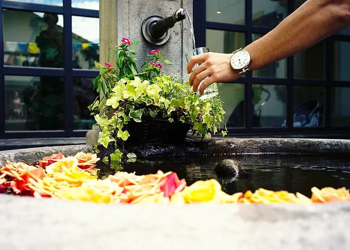 Landguet Ried - Center For Mindful Living Koniz