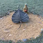 Landguet Ried - Center For Mindful Living Mini-hôtel